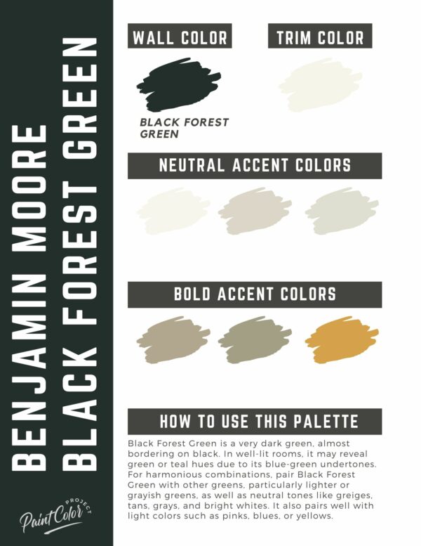 Benjamin Moore Black Forest Green Paint Color Palette