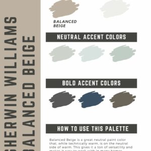 Balanced Beige paint color palette