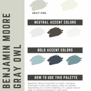 Benjamin Moore Gray Owl paint color palette