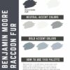 Benjamin Moore Raccoon Fur paint color palette