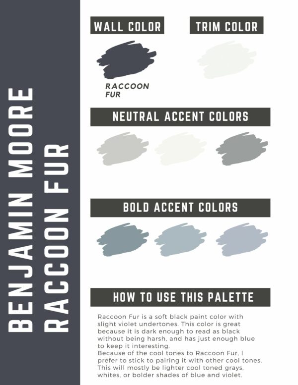 Benjamin Moore Raccoon Fur paint color palette