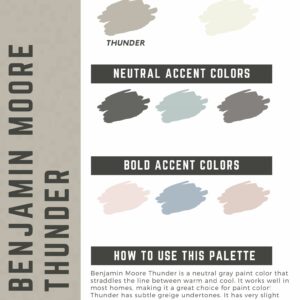 Benjamin Moore Thunder paint color palette