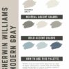 Modern Gray paint color palette