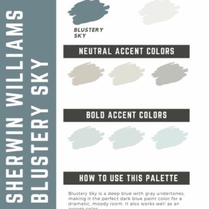 Sherwin Williams Blustery Sky paint color palette