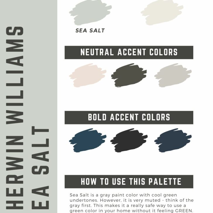 Benjamin Moore Natural Cream Paint Color Palette – The Paint Color Project