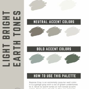 Light Bright Earth Tones Paint Color Palette