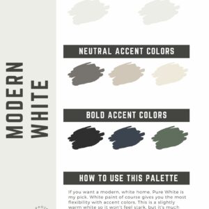 Modern White paint color palette