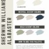Neutral Paint Color Bundle - Image 2