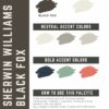 Sherwin Williams Black Fox Paint Color Palette