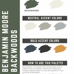 Benjamin Moore Backwoods Paint Color Palette