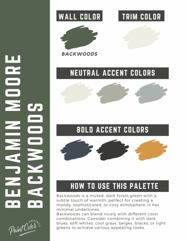 Benjamin Moore Backwoods Paint Color Palette