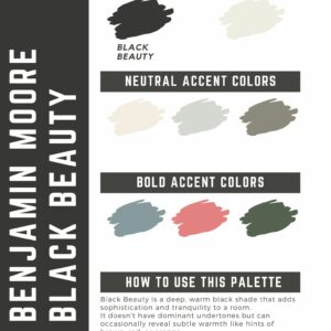 Benjamin Moore Black Beauty Paint Color Palette