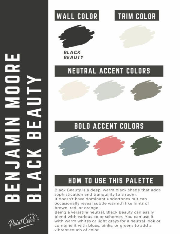 Benjamin Moore Black Beauty Paint Color Palette