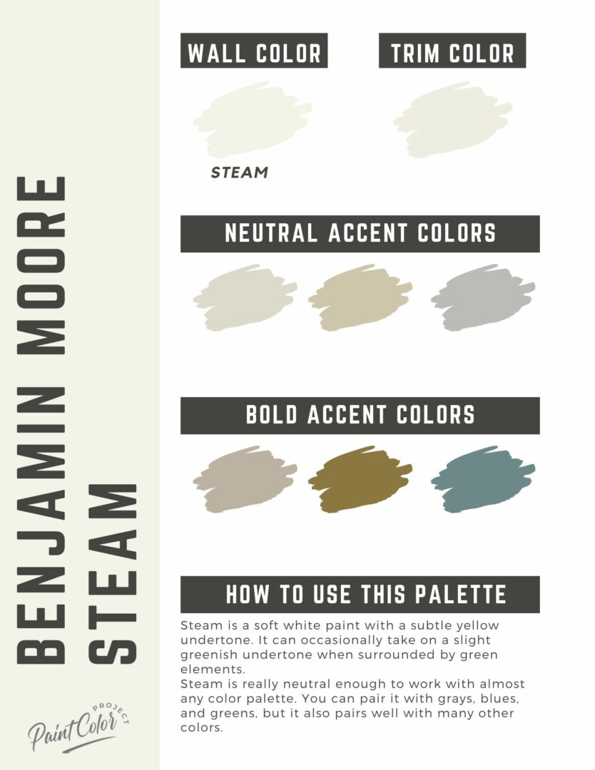 Benjamin Moore Steam Paint Color Palette – The Paint Color Project