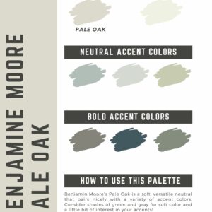 BM Pale Oak Paint Color Palette
