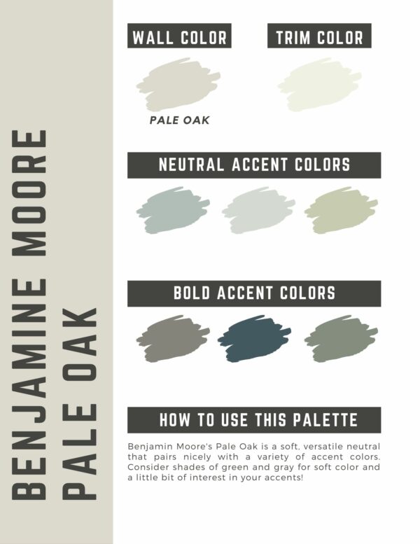 BM Pale Oak Paint Color Palette