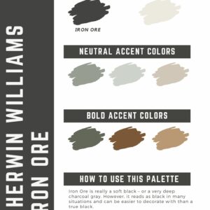 Iron Ore Paint Color Palettes
