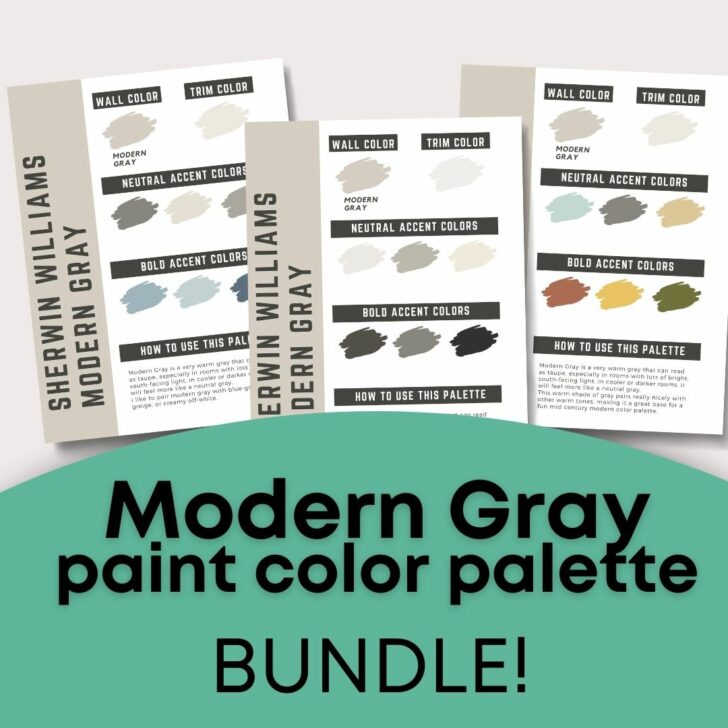 Modern Gray Color Palette Bundle - The Paint Color Project
