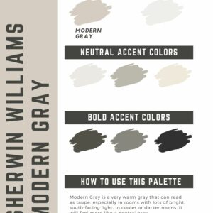 Modern Gray - neutrals