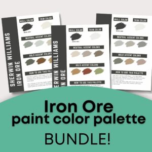 iron ore paint palette bundle