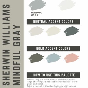 Sherwin Williams Mindful Gray Paint Color Palette