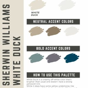 Sherwin Williams White Duck Paint Color Palette