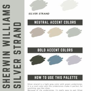 silver strand paint color palette