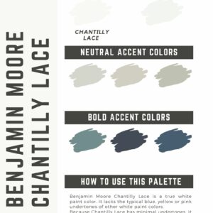 Chantilly Lace Color Palette