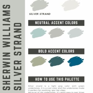 silver strand paint color palette