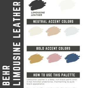 Benjamin Moore Limousine Leather Paint Color Palette