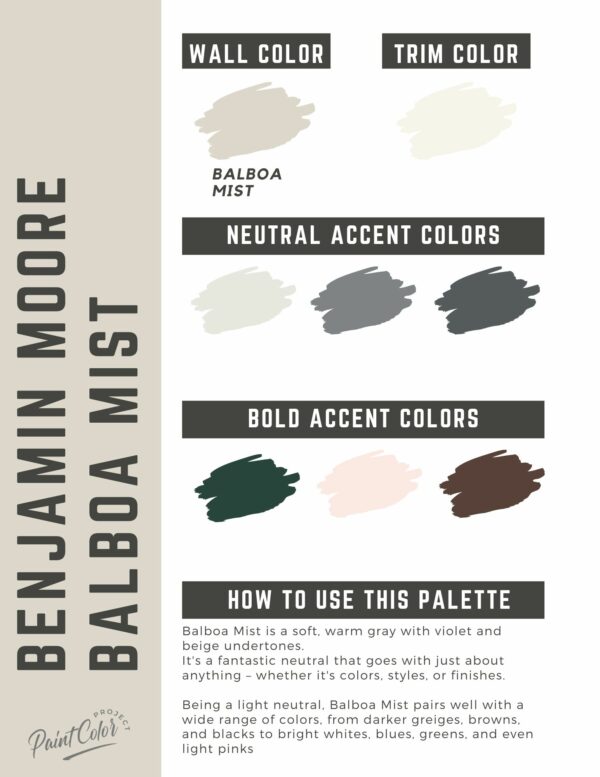 Benjamin Moore Balboa Mist Paint Color Palette