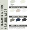 Benjamin Moore Healing Aloe Paint Color Palette