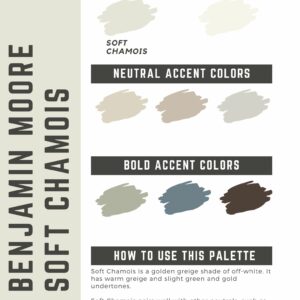 Benjamin Moore Soft Chamois Paint Color Palette