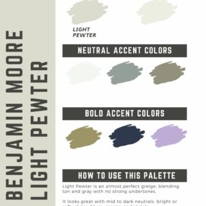 Benjamin Moore Light Pewter Paint Color Palette