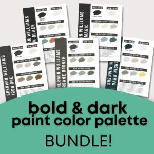 bold and dark paint color palette