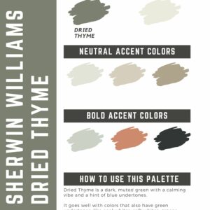 Sherwin Williams Dried Thyme Paint Color Palette
