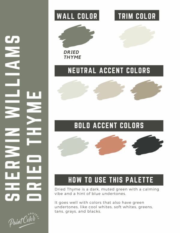 Sherwin Williams Dried Thyme Paint Color Palette