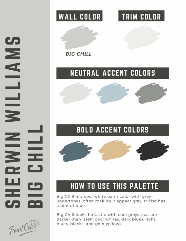 Sherwin Williams Big Chill Paint Color Palette