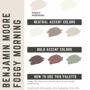 Benjamin Moore Foggy Morning Paint Color Palette