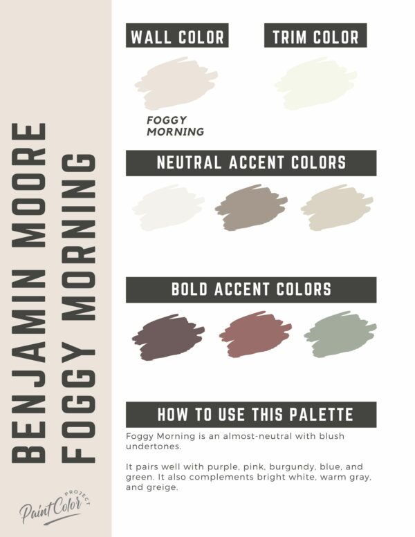 Benjamin Moore Foggy Morning Paint Color Palette