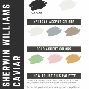 Sherwin Williams Caviar Paint Color Palette