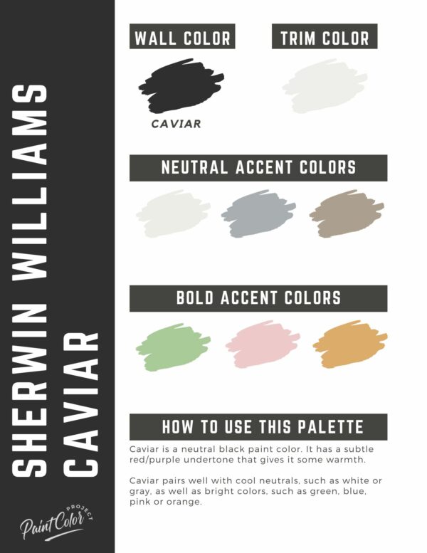 Sherwin Williams Caviar Paint Color Palette