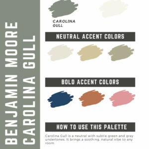 Benjamin Moore Carolina Gull Paint Color Palette