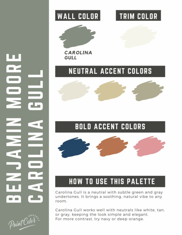 Benjamin Moore Carolina Gull Paint Color Palette