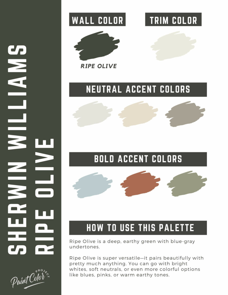 Shell Rvie Paint Colors Sherwin Williams Ripe Olive Paint Color Palette - The Paint Color Project