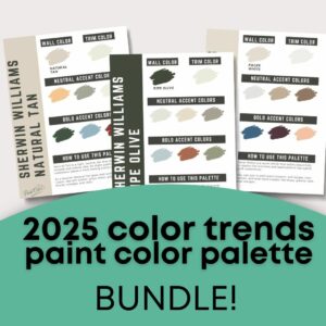 2025 color trends bundle