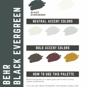 Behr Black Evergreen Paint Color Palette