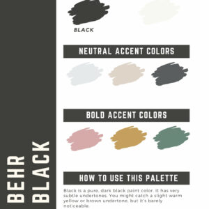 Behr Black Paint Color Palette