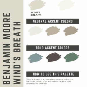 Benjamin Moore Wind's Breath Paint Color Palette