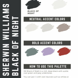 Sherwin Williams Black of Night Paint Color Palette